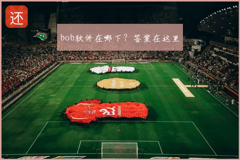 bob软件在哪下？答案在这里
